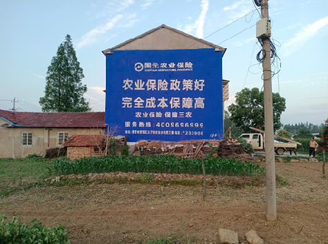 万源墙体广告为何受追捧？